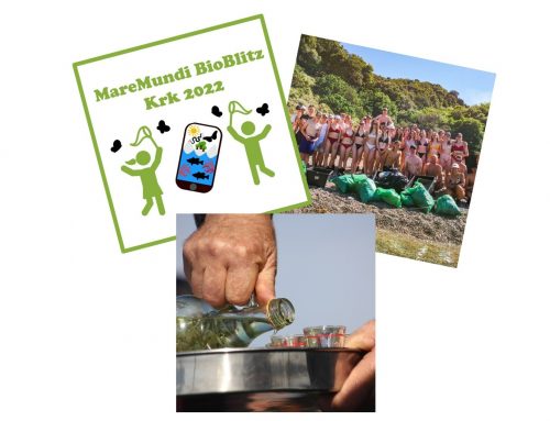 Einladung: MareMundi BioBlitz, Insel Cleanup und Party auf Krk ab 2. September!