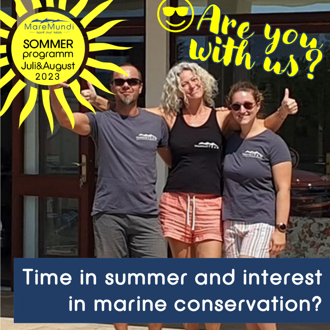 Are you interested in marine conservation and have time in summer? 