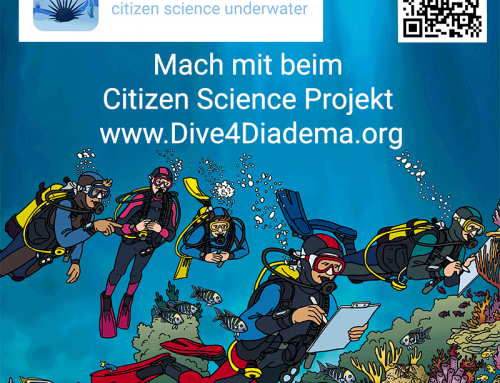 An alle Taucherinnen und Taucher – Helft mit bei Dive4Diadema!