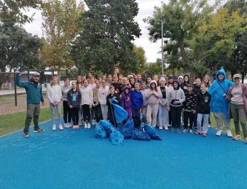 Cleanup mit der Grundschule Punat