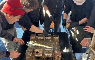 MareMundi birgt Besiedelungsstrukturen, Oktober 2025, Foto: MareMundi