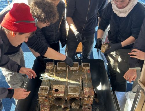 In der Tiefe der Adria: MareMundi birgt Unterwasserhotel aus dem Krušija-Kanal