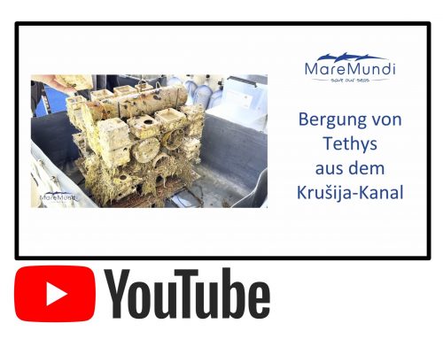 Der Film zur Bergung der Besiedlungsstrukturen