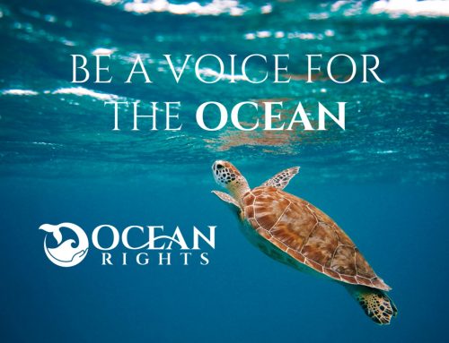 We signed the Ocean Rights Declaration