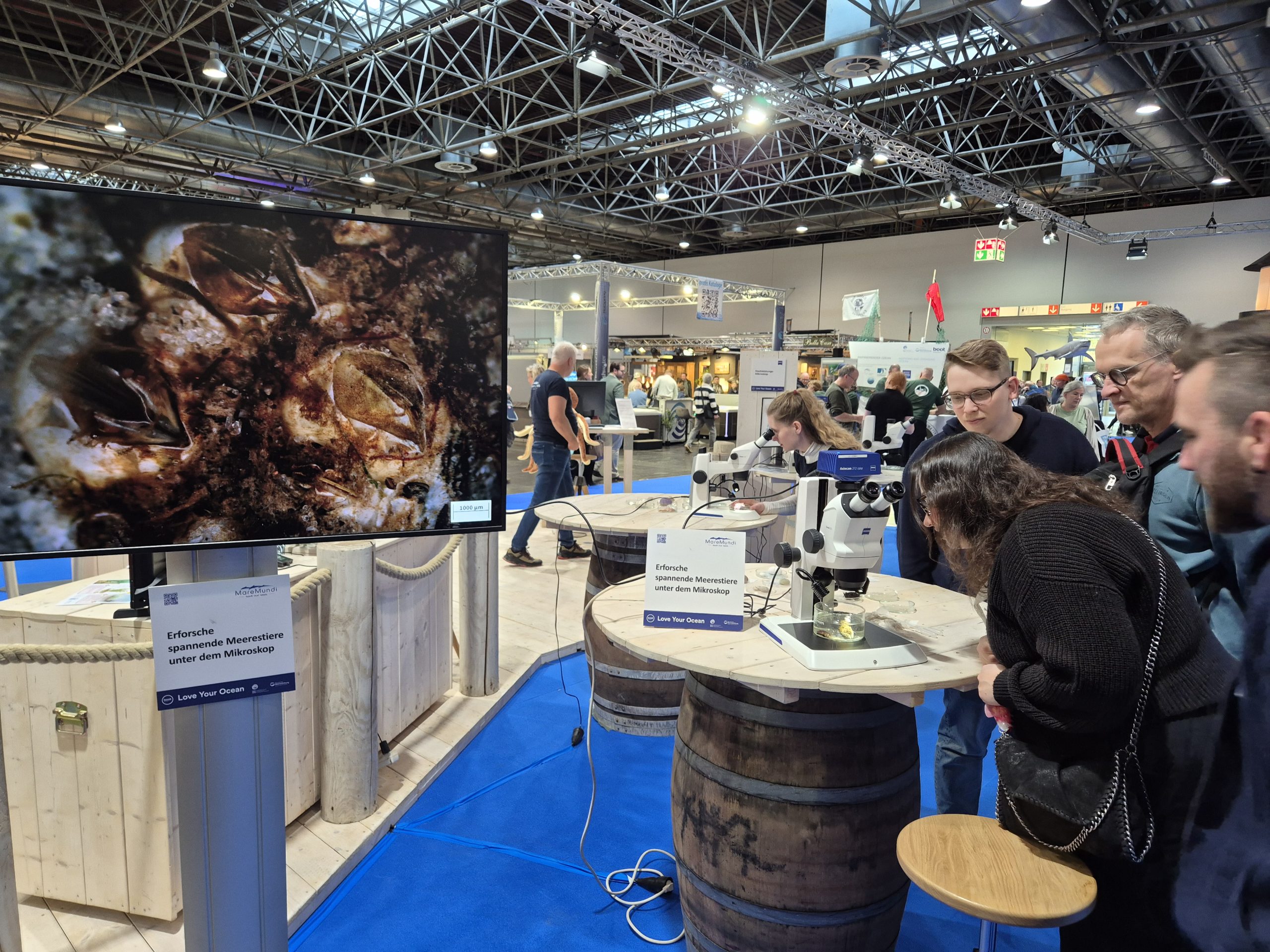 boot 2026, Fotoreihe Miesmuschel Seepocke