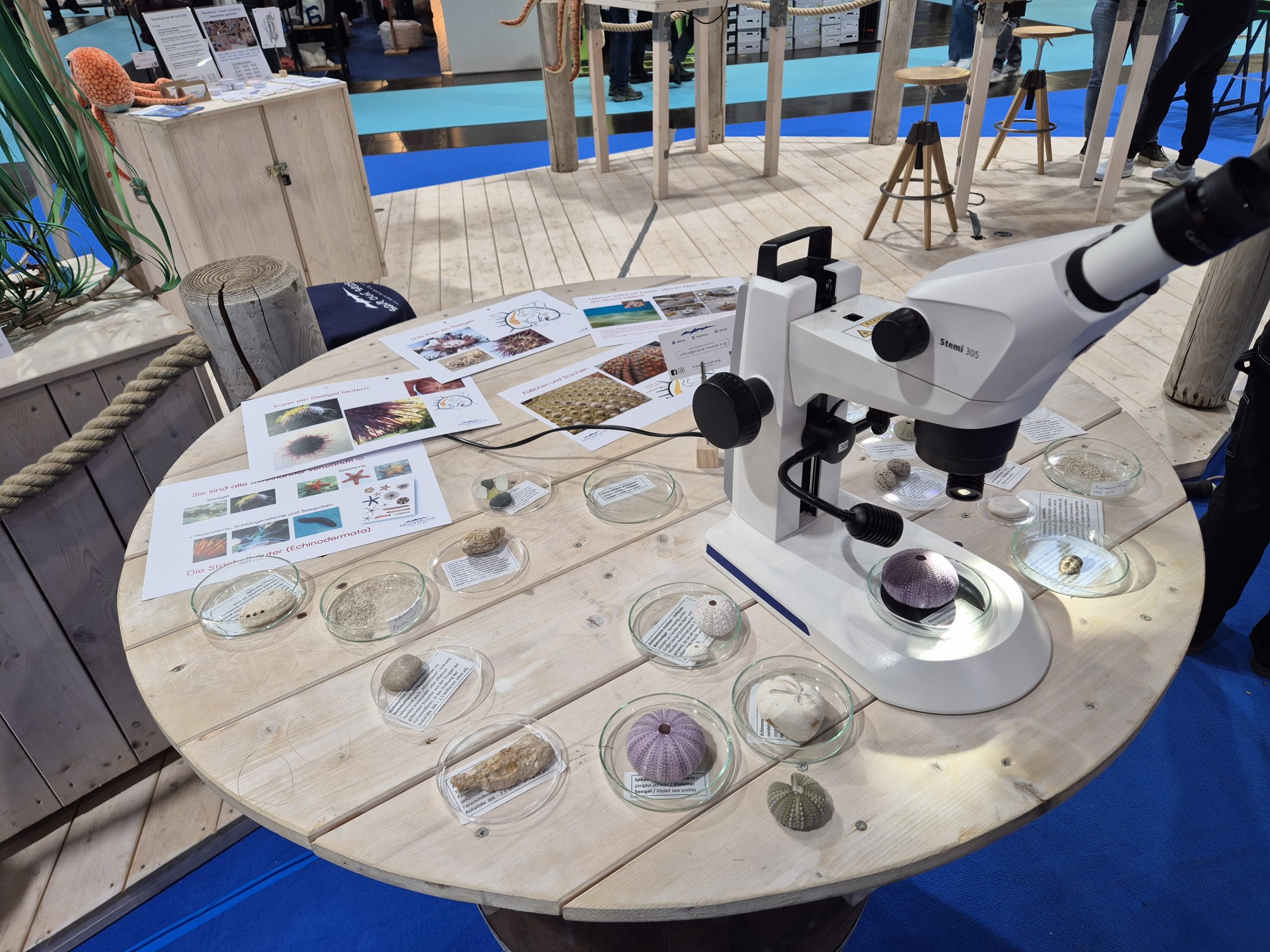 boot 2026, Fotoreihe Exponate