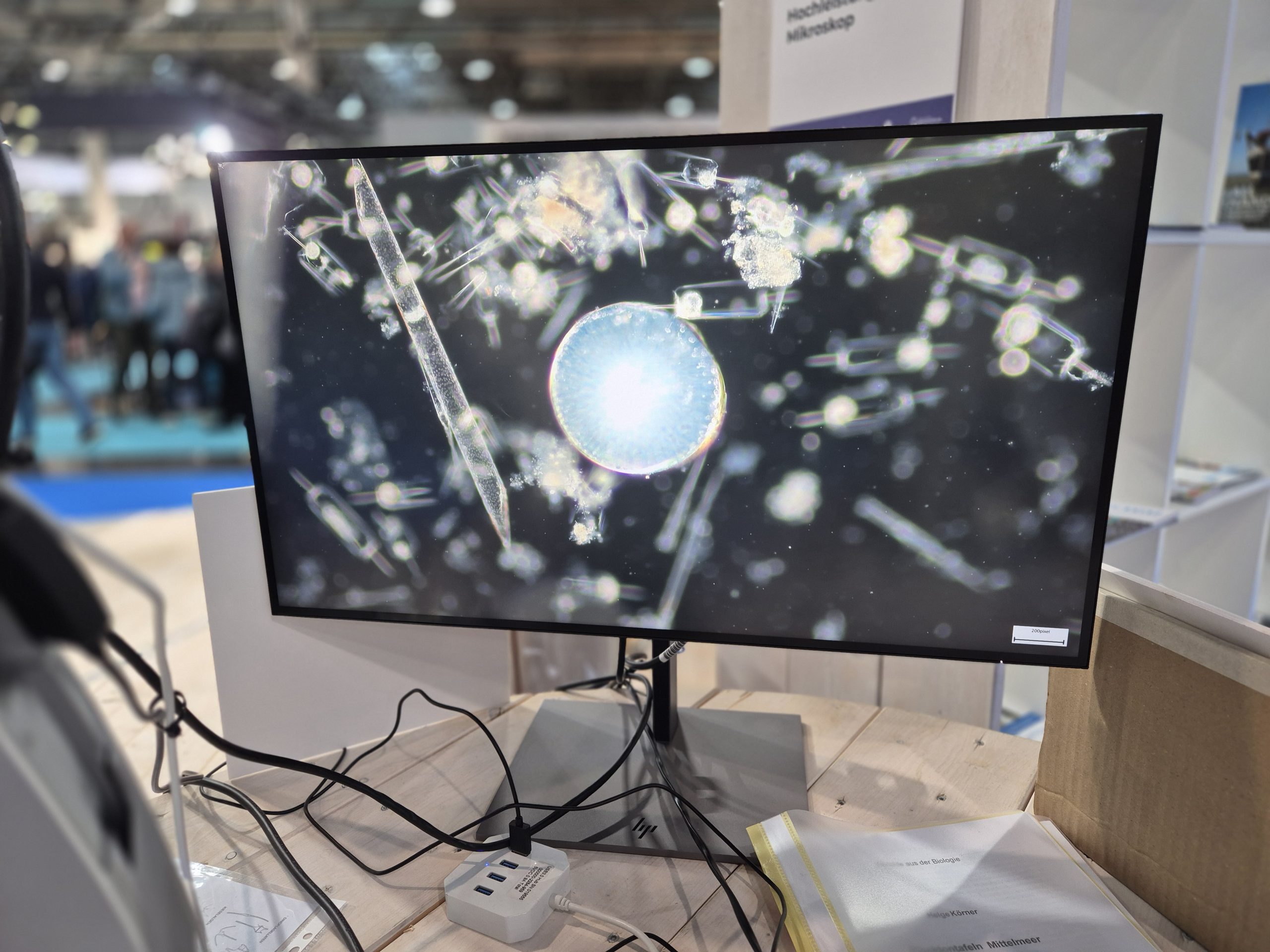 boot 2026, Fotoreihe Plankton Seegras