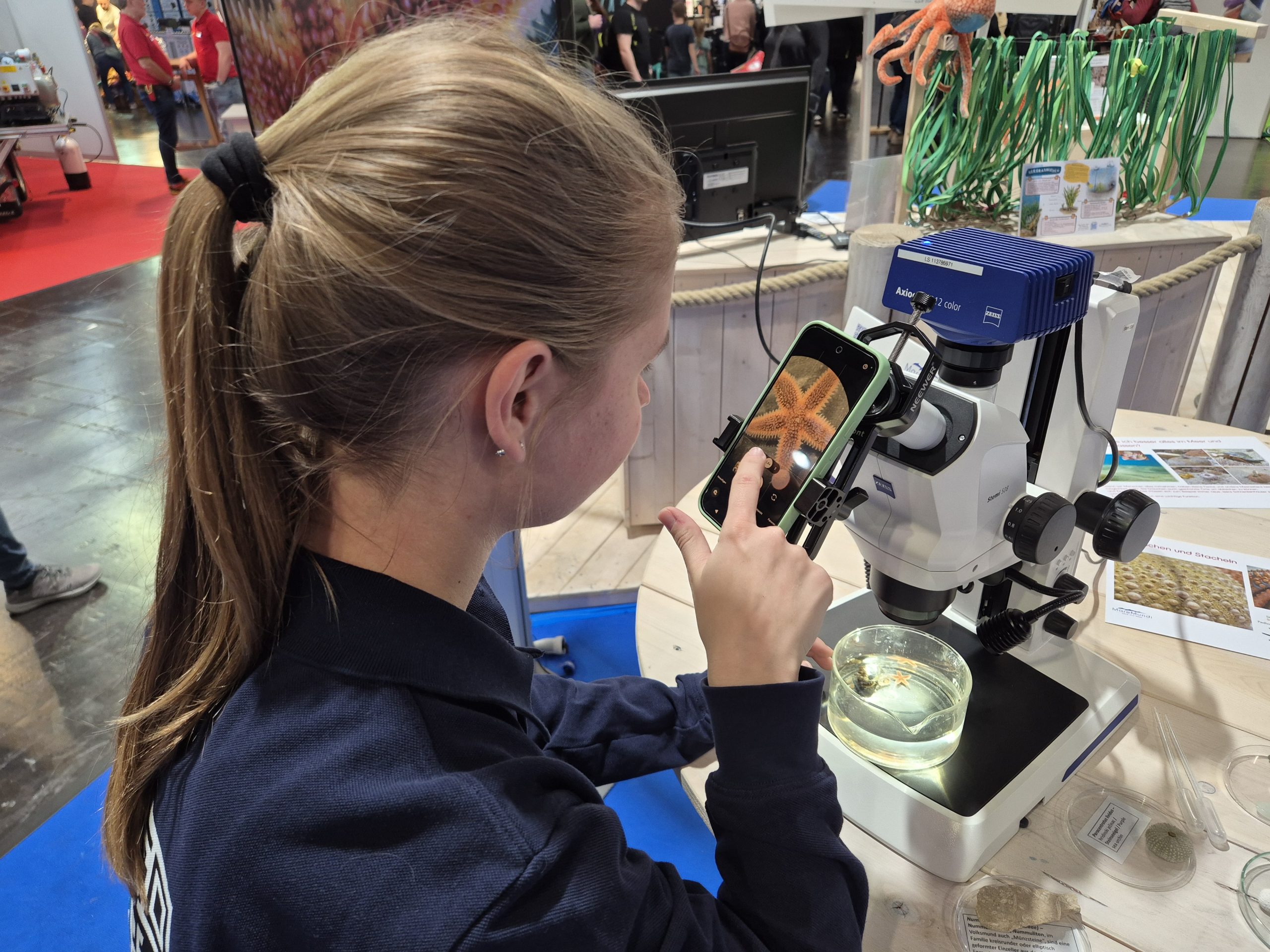 boot 2026, Fotoreihe Seestern