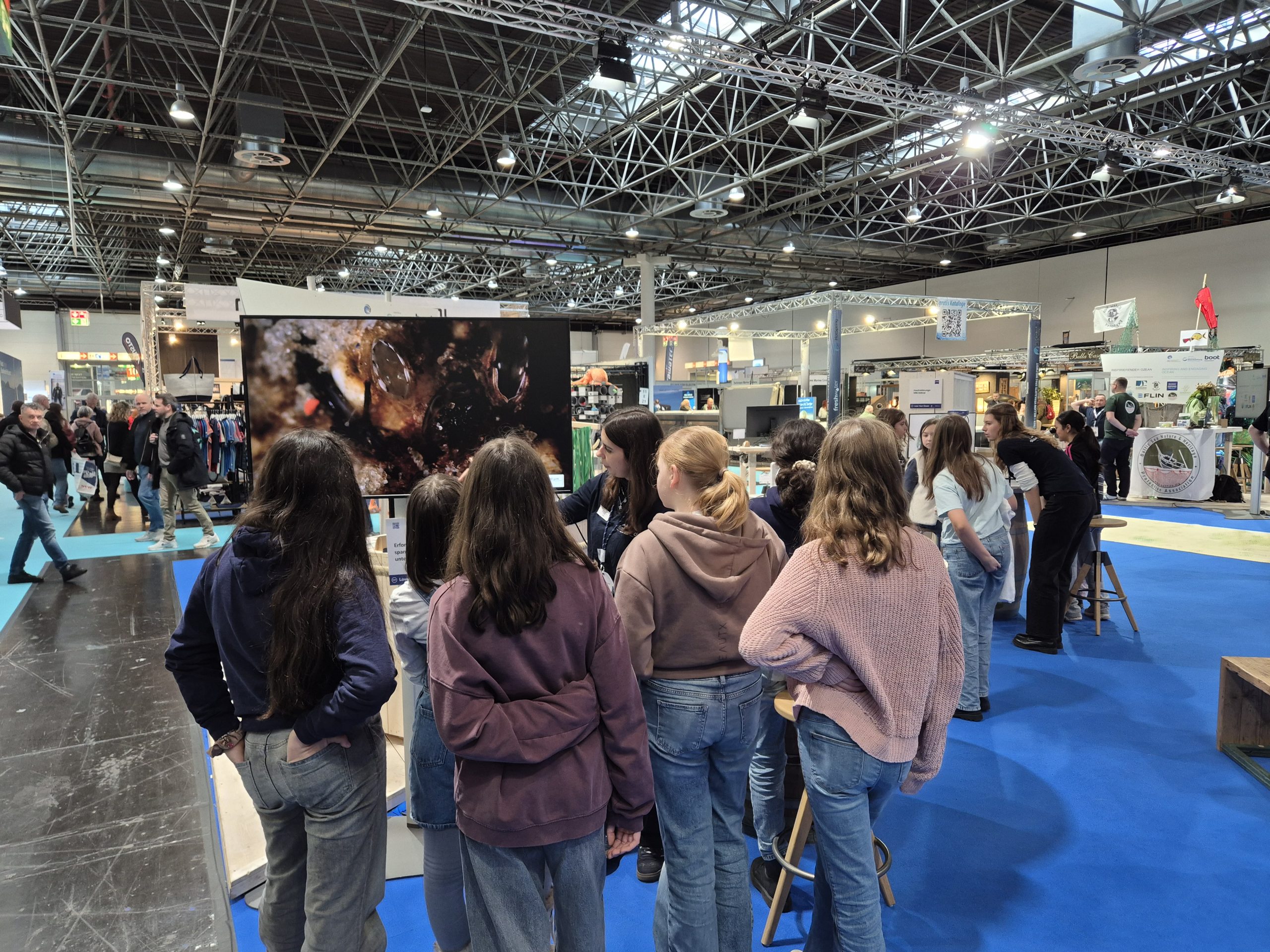 boot 2026, Fotoreihe Miesmuschel Seepocke