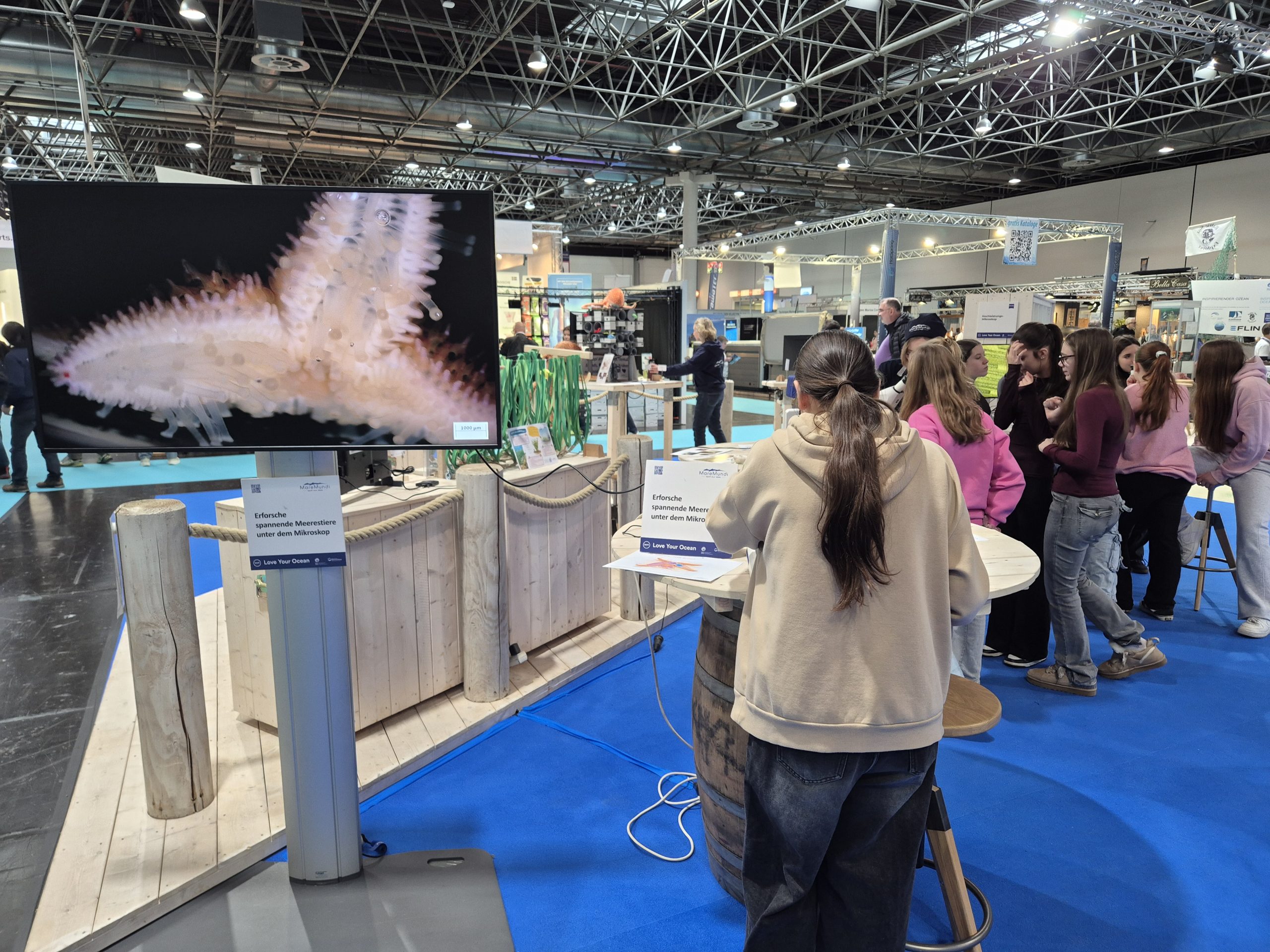 boot 2026, Fotoreihe Seestern