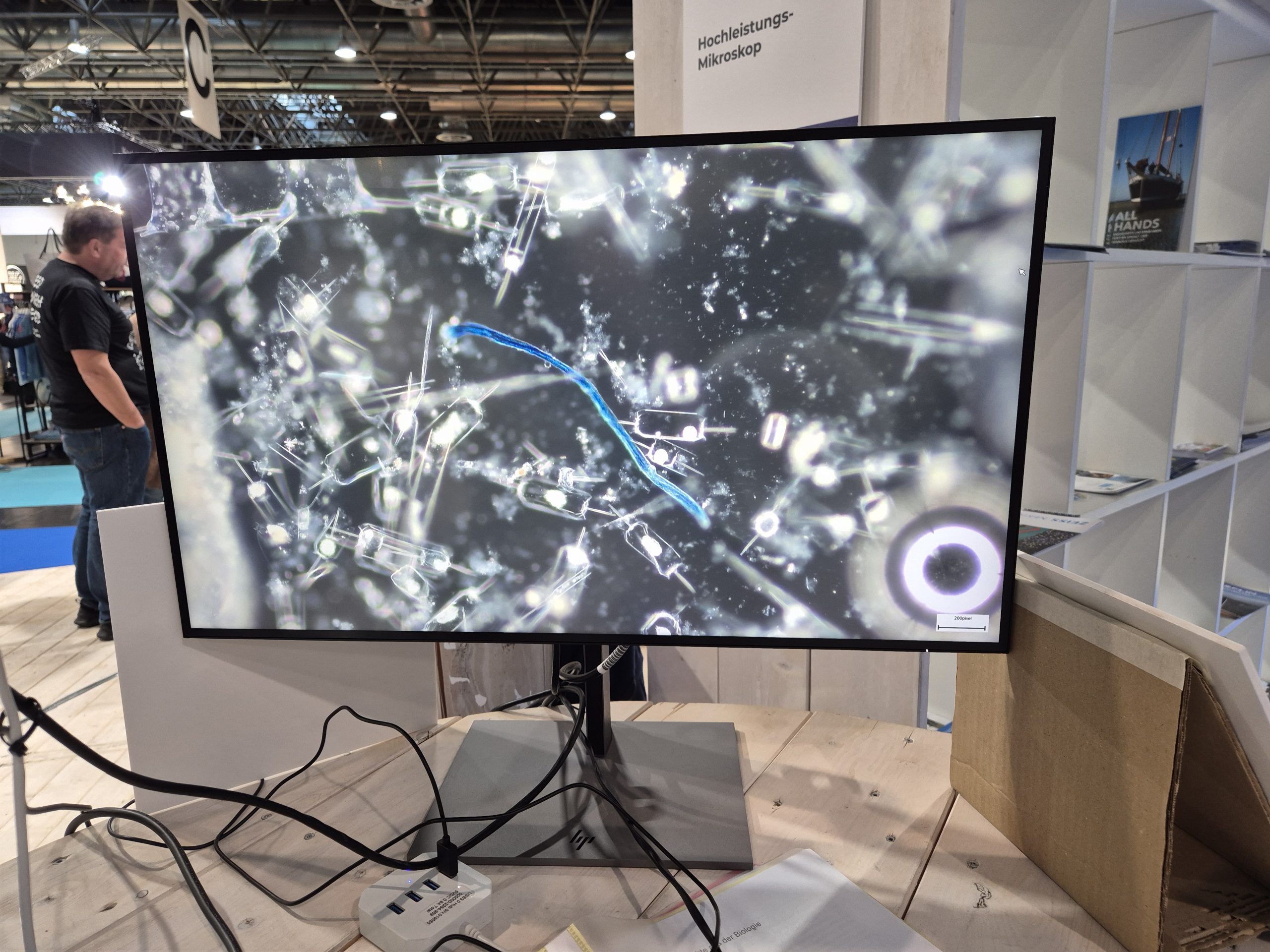 boot 2026, Fotoreihe Plankton Seegras