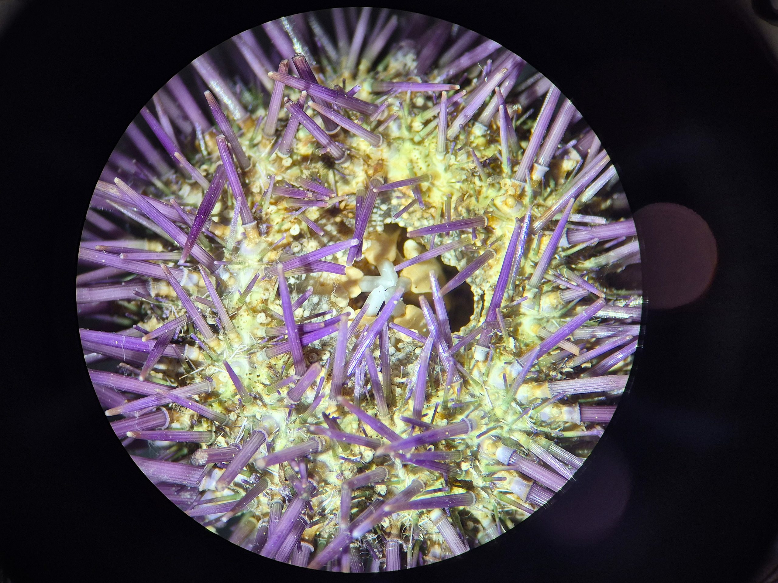 boot 2026, Fotoreihe Exponate