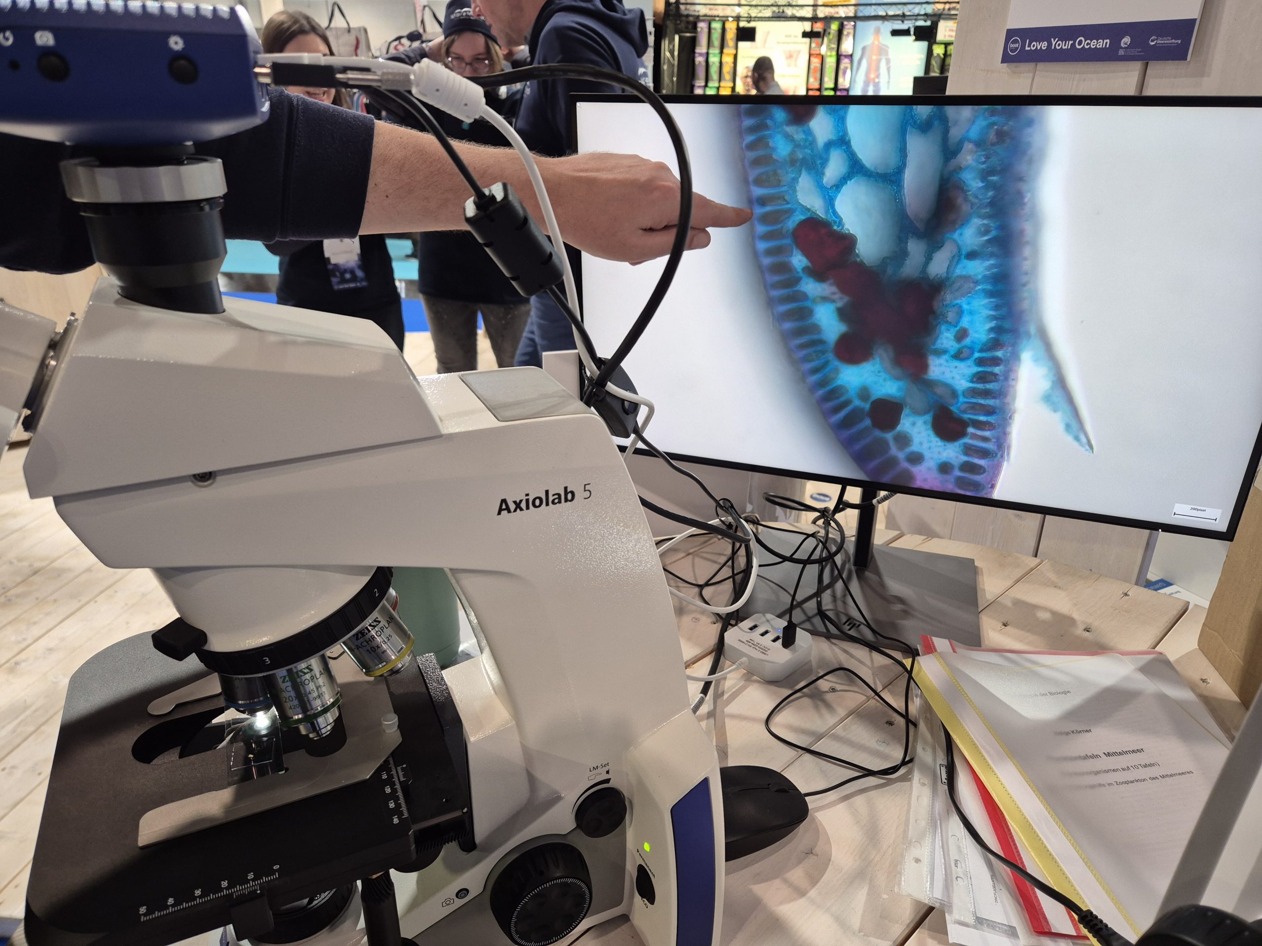 boot 2026, Fotoreihe Plankton Seegras