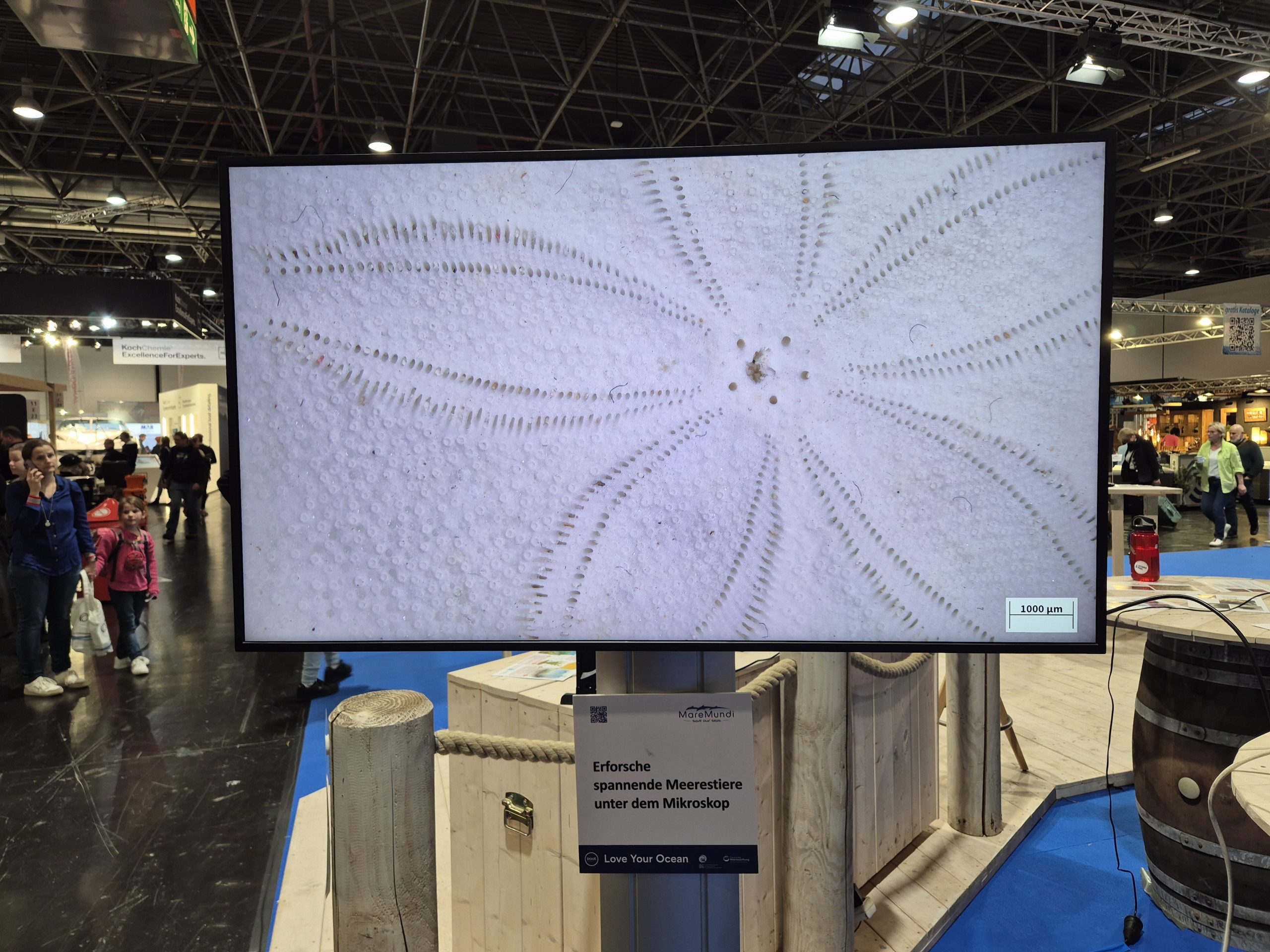 boot 2026, Fotoreihe Exponate