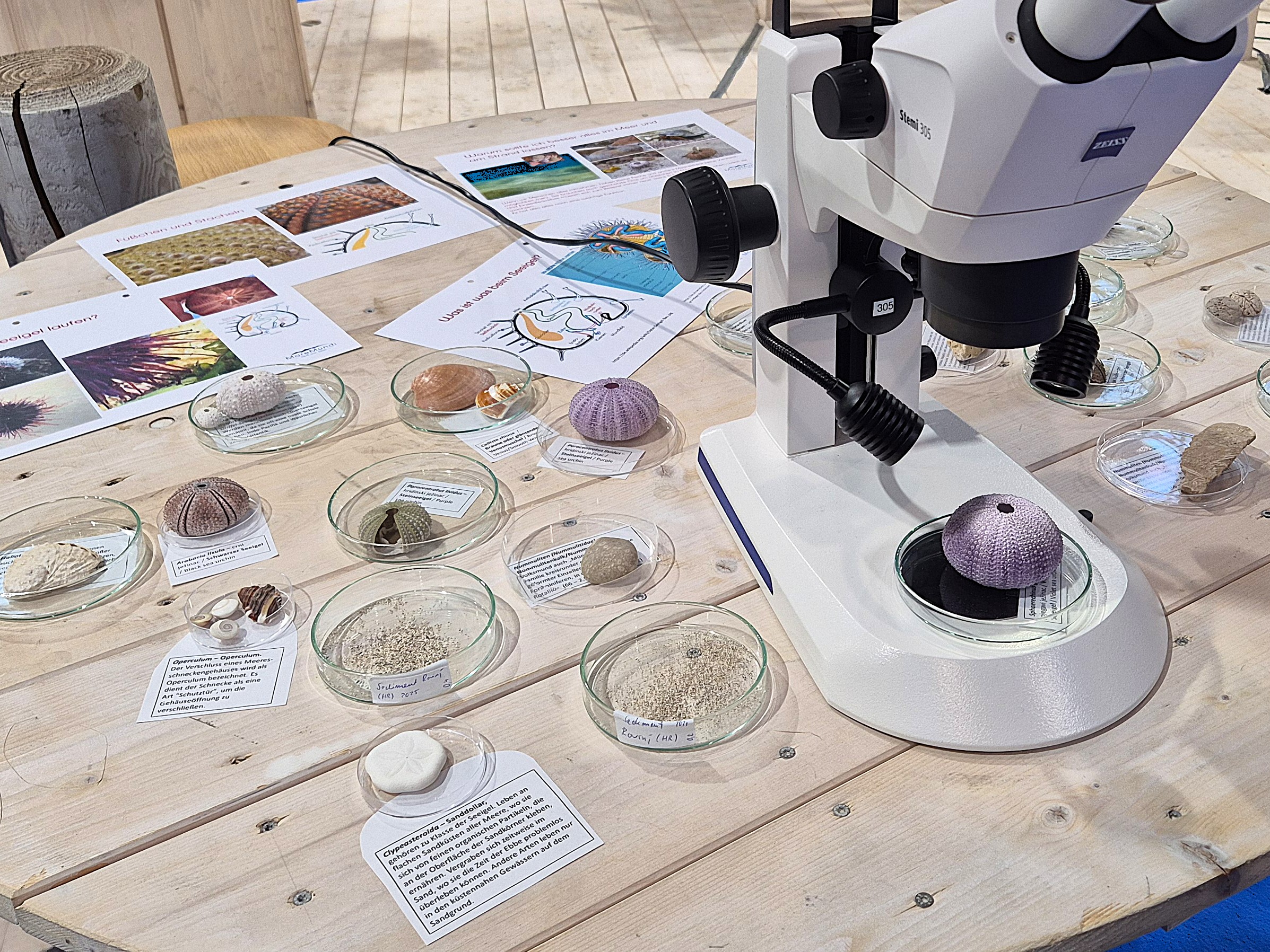 boot 2026, Fotoreihe Exponate