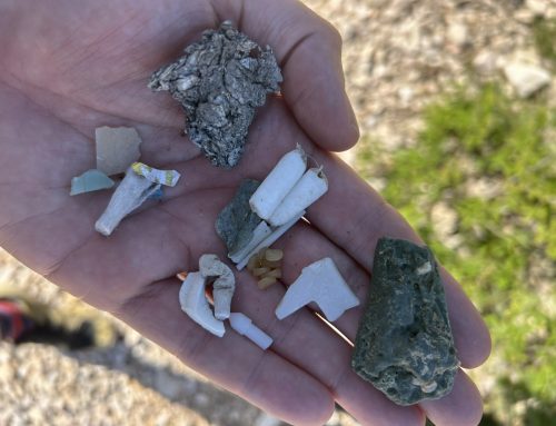 Beach Clean-Up am Strand von Zala, Stara Baška