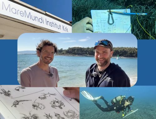 Markus Burkhard: Video über MareMundi