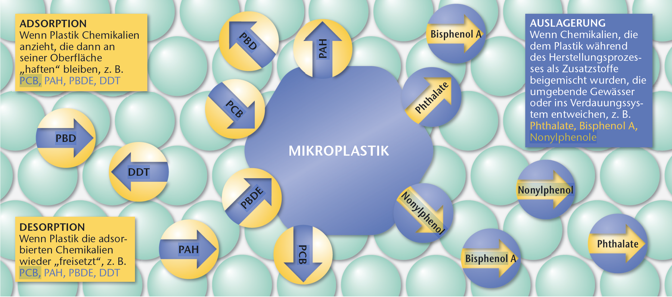 Biopolymere_MareMundi_Hofrichter Mikroplastik Toxine