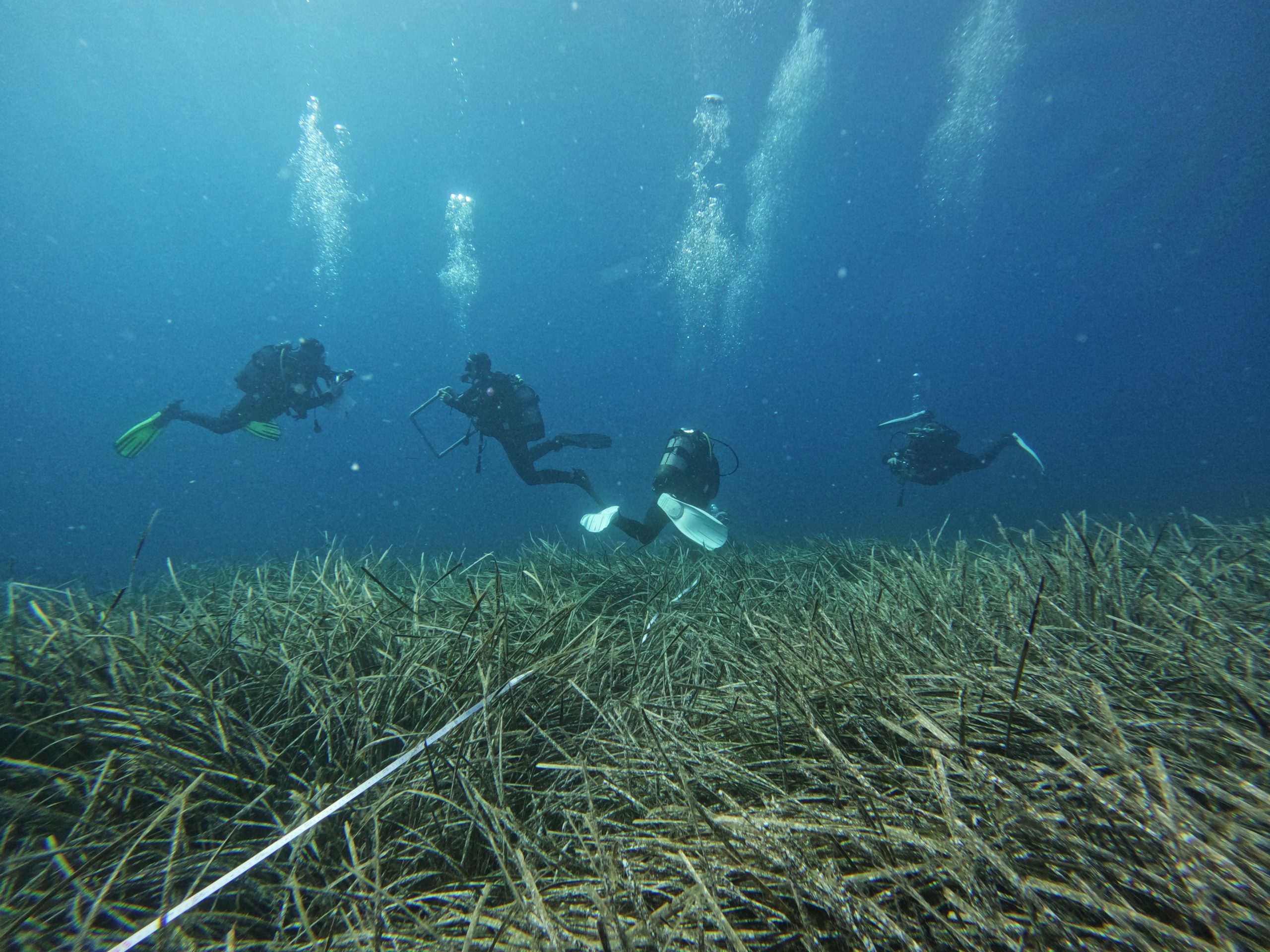 DCIM100GOPROGOPR2042.JPG