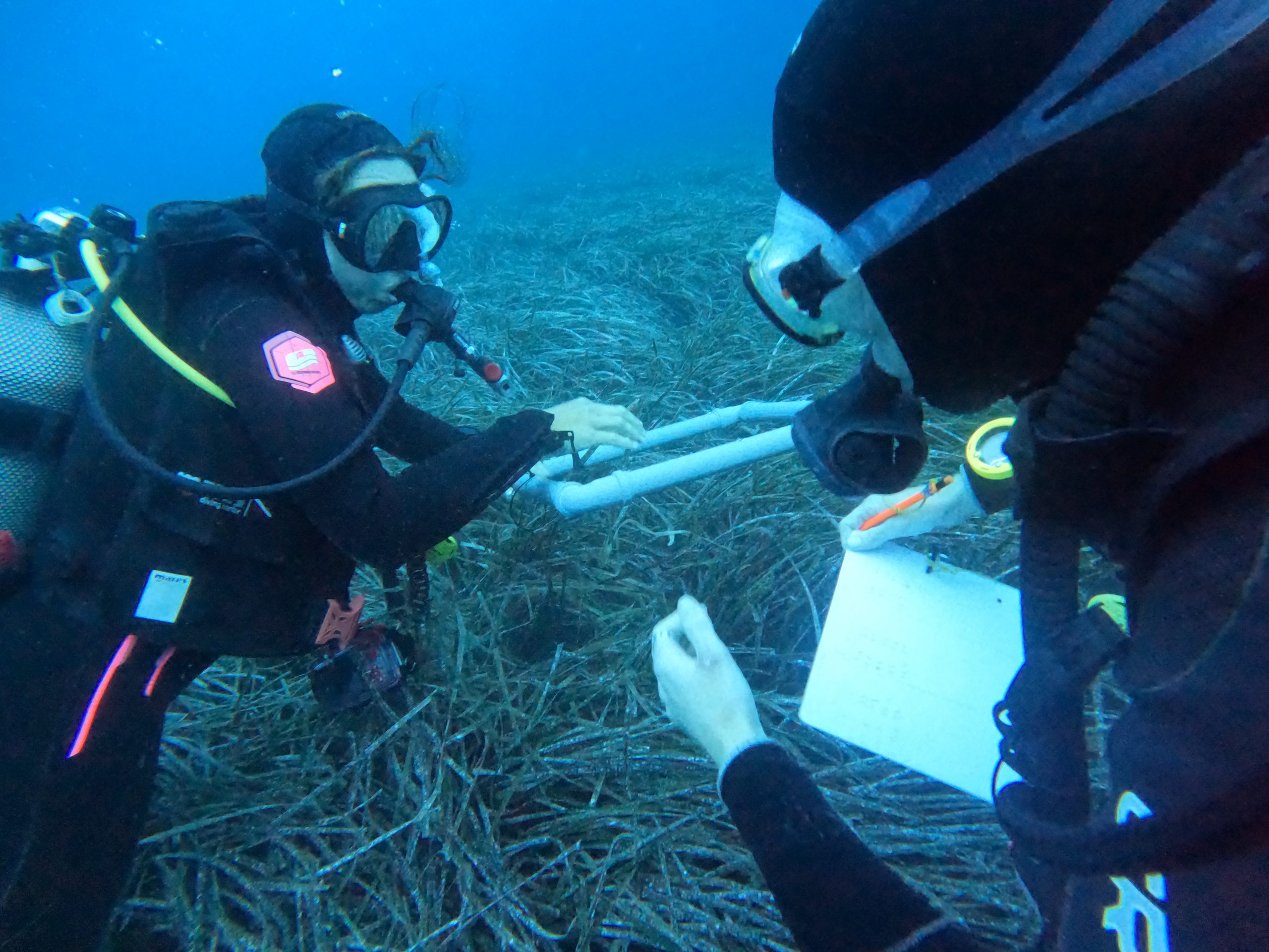 DCIM100GOPROGOPR2066.JPG