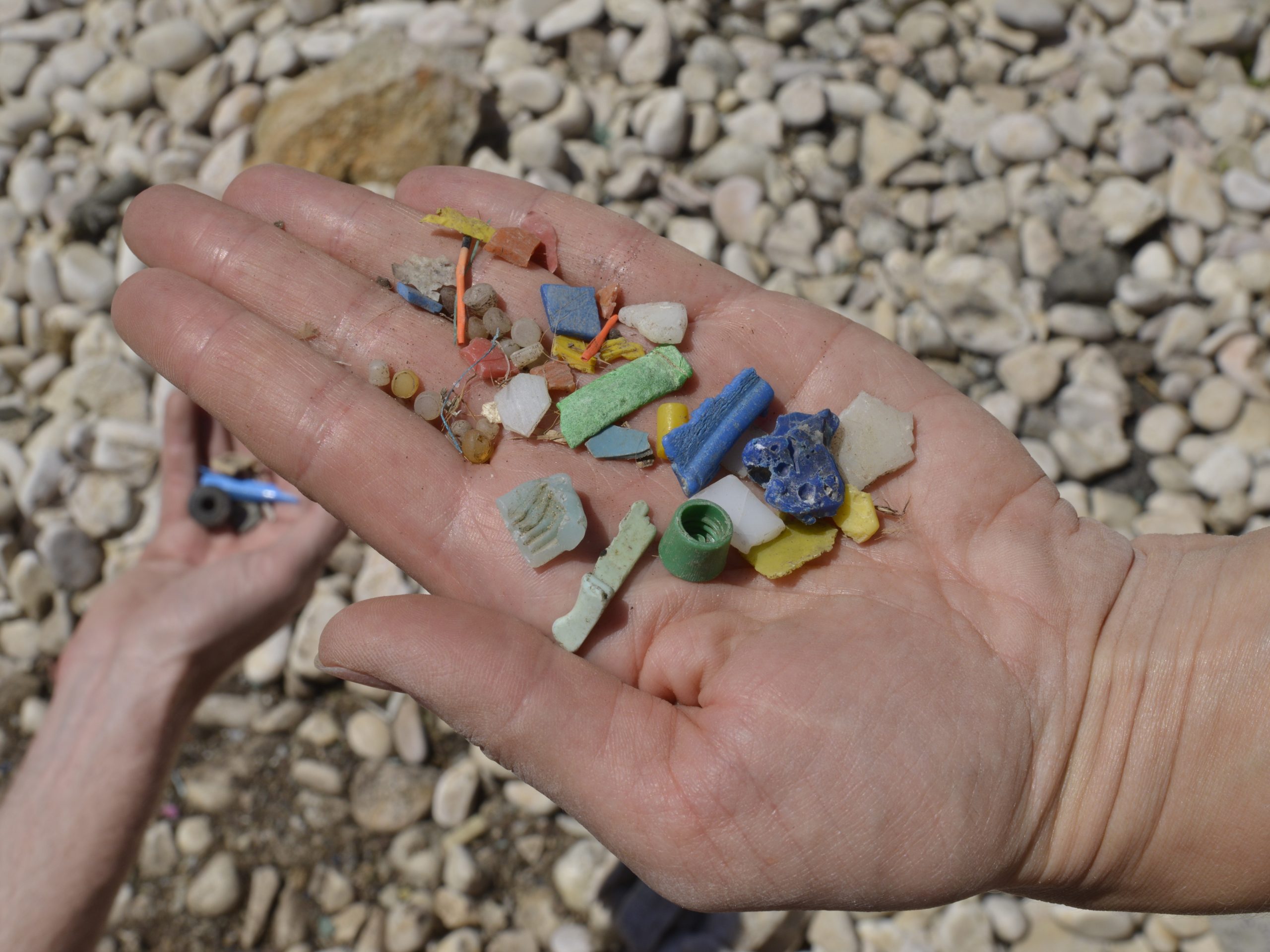 Biopolymere_MareMundi_Hofrichter Plastik Hand