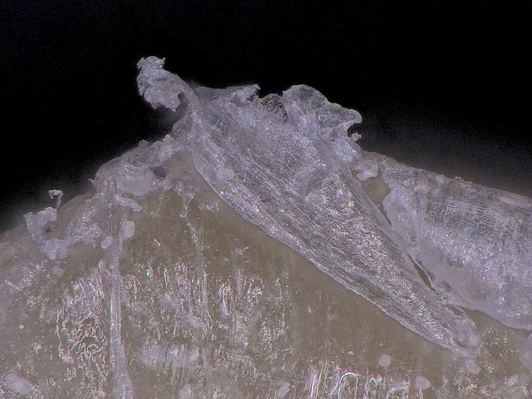 Biopolymere_MareMundi_Matthias Burba Mikroplastik 1